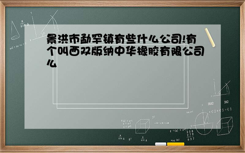 景洪市勐罕镇有些什么公司!有个叫西双版纳中华橡胶有限公司么