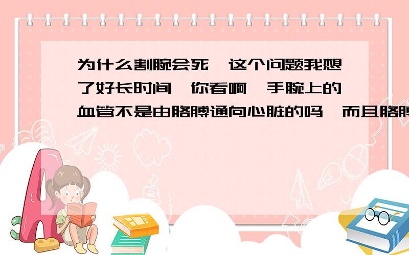 为什么割腕会死,这个问题我想了好长时间,你看啊,手腕上的血管不是由胳膊通向心脏的吗,而且胳膊上的血管好像还比手腕上的血管多一点,那为什么割腕会死,断臂就不会死呢?