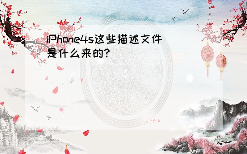 iPhone4s这些描述文件是什么来的?