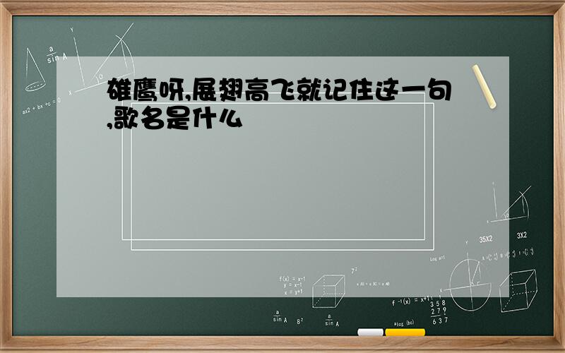 雄鹰呀,展翅高飞就记住这一句,歌名是什么