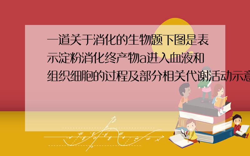 一道关于消化的生物题下图是表示淀粉消化终产物a进入血液和组织细胞的过程及部分相关代谢活动示意图,其中a—f表示人体内的物质.请根据图答题.（1）消化道中参与消化淀粉的消化液有（