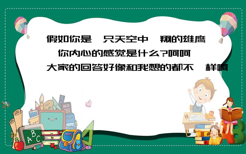 假如你是一只天空中翱翔的雄鹰,你内心的感觉是什么?呵呵,大家的回答好像和我想的都不一样啊……希望大家静下心来,一个人的时候的想法……