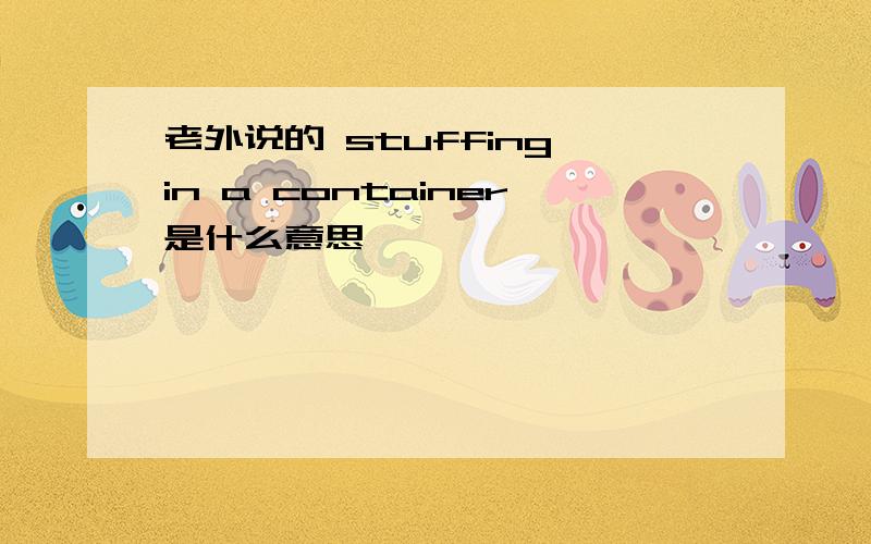 老外说的 stuffing in a container是什么意思