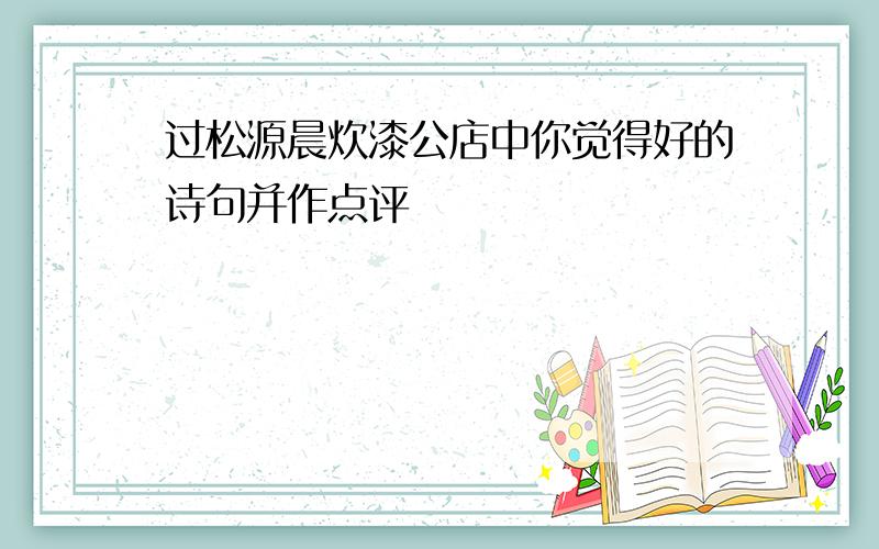 过松源晨炊漆公店中你觉得好的诗句并作点评