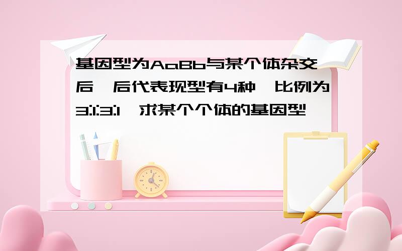 基因型为AaBb与某个体杂交后,后代表现型有4种,比例为3:1:3:1,求某个个体的基因型