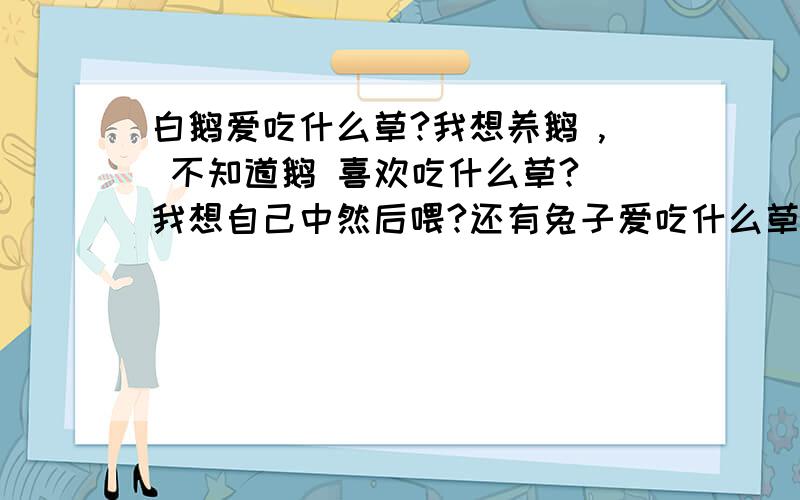 白鹅爱吃什么草?我想养鹅 , 不知道鹅 喜欢吃什么草? 我想自己中然后喂?还有兔子爱吃什么草?  好像是苜蓿草把 ?（实在没分了）