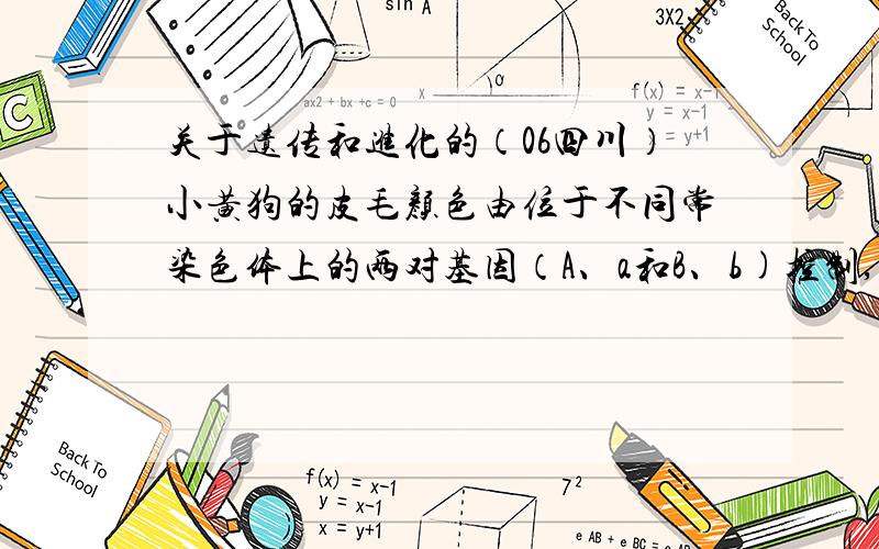 关于遗传和进化的（06四川）小黄狗的皮毛颜色由位于不同常染色体上的两对基因（A、a和B、b)控制,共有四种表现型,黑色(A_B_)、褐色(aaB_)、红色(A_bb)和黄色(aabb).下图是小黄狗的一个系谱,请