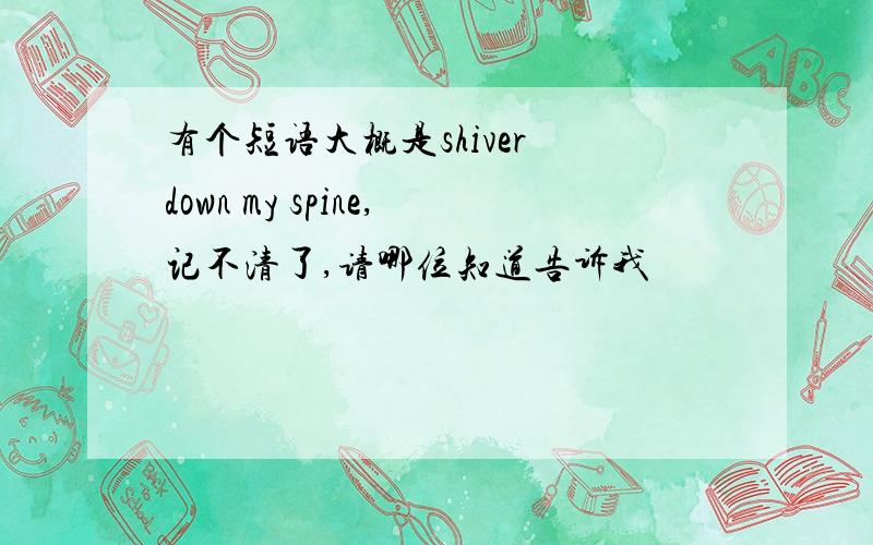 有个短语大概是shiver down my spine,记不清了,请哪位知道告诉我