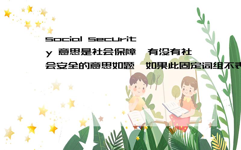 social security 意思是社会保障,有没有社会安全的意思如题,如果此固定词组不表示社会安全,那社会安全怎么说