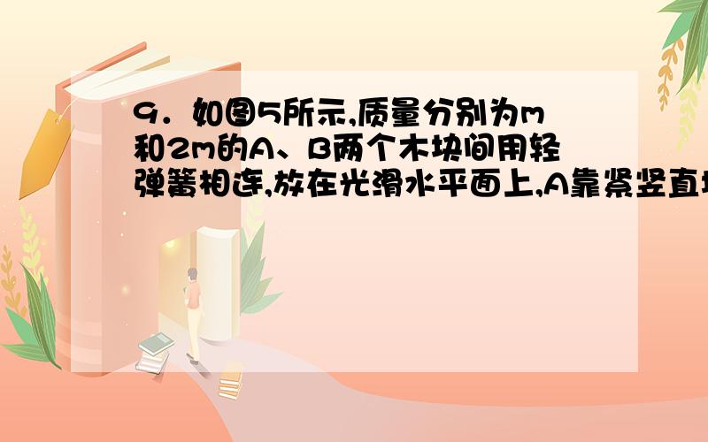 9．如图5所示,质量分别为m和2m的A、B两个木块间用轻弹簧相连,放在光滑水平面上,A靠紧竖直墙．用水平力F将B向左压,使弹簧被压缩一定长度,静止后弹簧储存的弹性势能为E．这时突然撤去F,关