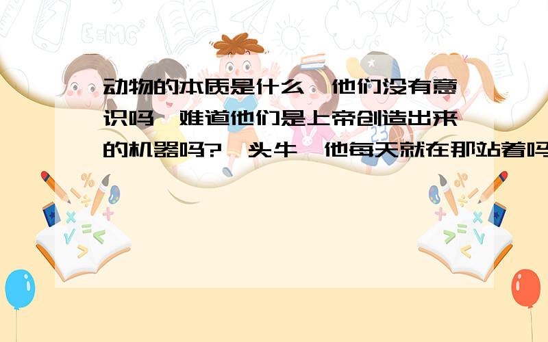 动物的本质是什么,他们没有意识吗,难道他们是上帝创造出来的机器吗?一头牛,他每天就在那站着吗,他什么都不想吗,不思考天地,靠太可怕了,他们居然什么都不想