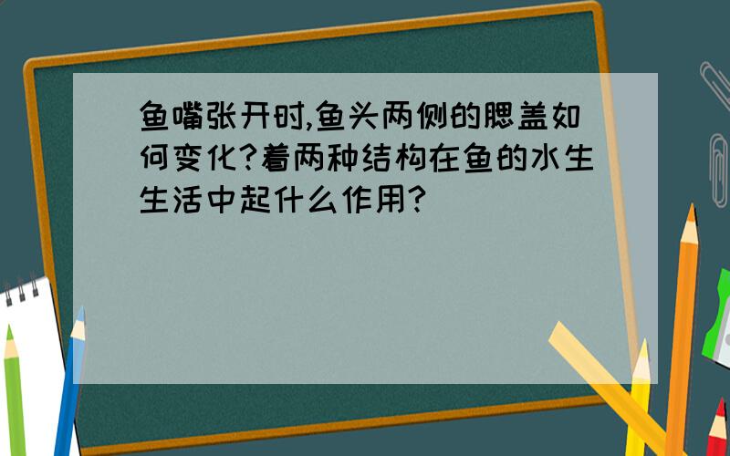 鱼嘴张开时,鱼头两侧的腮盖如何变化?着两种结构在鱼的水生生活中起什么作用?