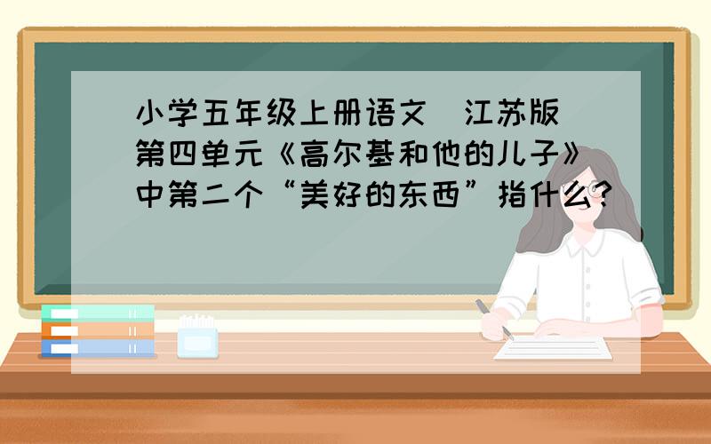 小学五年级上册语文（江苏版）第四单元《高尔基和他的儿子》中第二个“美好的东西”指什么?