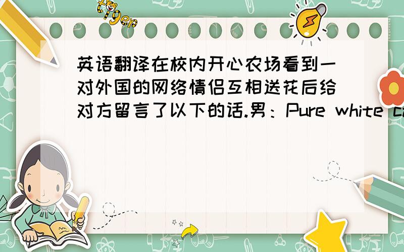 英语翻译在校内开心农场看到一对外国的网络情侣互相送花后给对方留言了以下的话.男：Pure white carnations represent the purity of love and luck女：I wrote your name in my heart,and forever it will stay.love you!