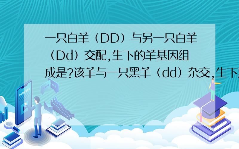 一只白羊（DD）与另一只白羊（Dd）交配,生下的羊基因组成是?该羊与一只黑羊（dd）杂交,生下黑羊的概率是?