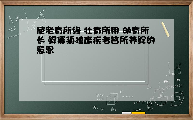 使老有所终 壮有所用 幼有所长 鳏寡孤独废疾者皆所养鳏的意思