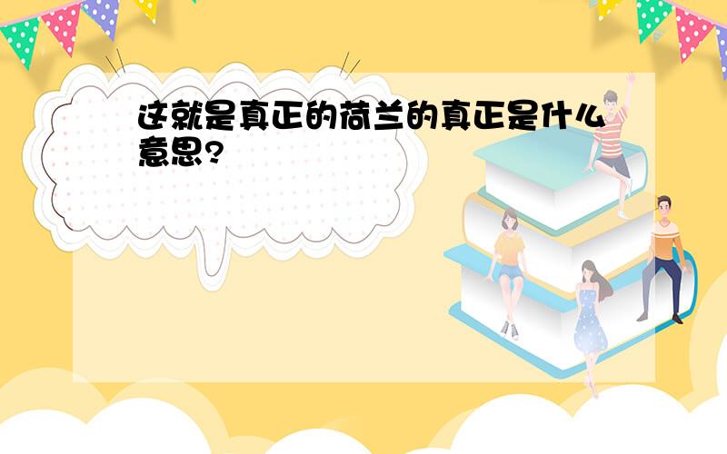 这就是真正的荷兰的真正是什么意思?