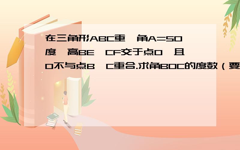 在三角形ABC重,角A=50度,高BE,CF交于点O,且O不与点B,C重合.求角BOC的度数（要把两个图的解答过程都写出来,用因为所以表述）