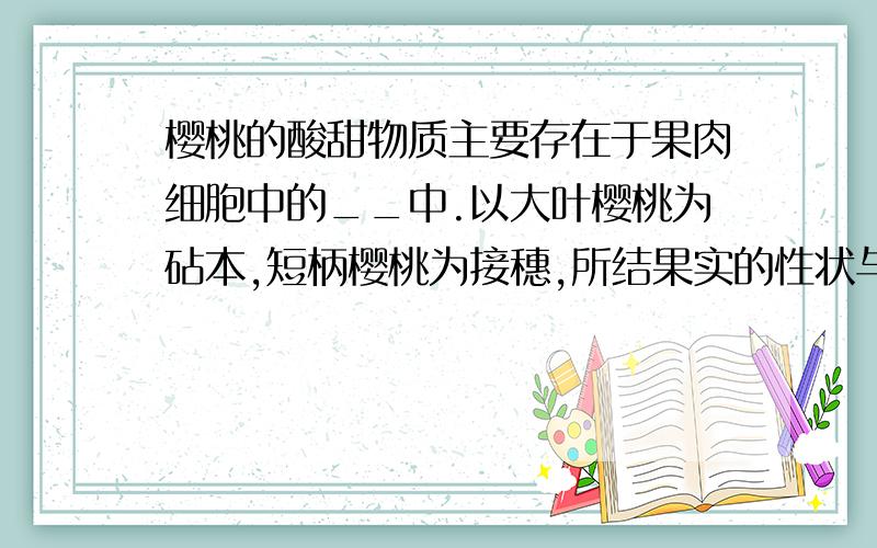 樱桃的酸甜物质主要存在于果肉细胞中的__中.以大叶樱桃为砧本,短柄樱桃为接穗,所结果实的性状与___相同