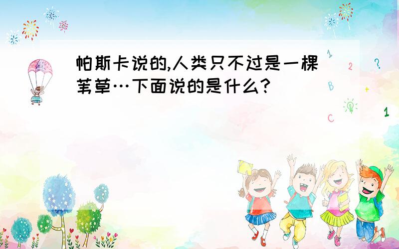 帕斯卡说的,人类只不过是一棵苇草…下面说的是什么?