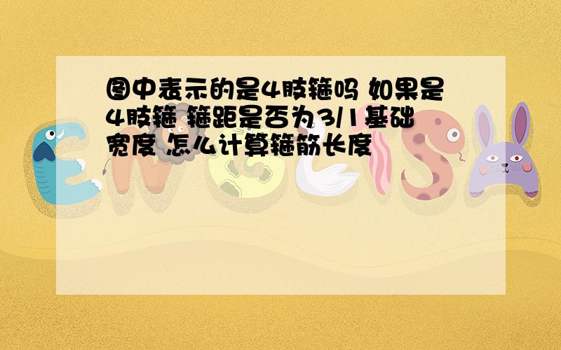 图中表示的是4肢箍吗 如果是4肢箍 箍距是否为3/1基础宽度 怎么计算箍筋长度