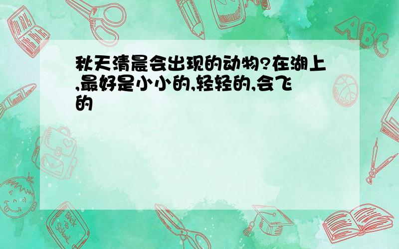 秋天清晨会出现的动物?在湖上,最好是小小的,轻轻的,会飞的