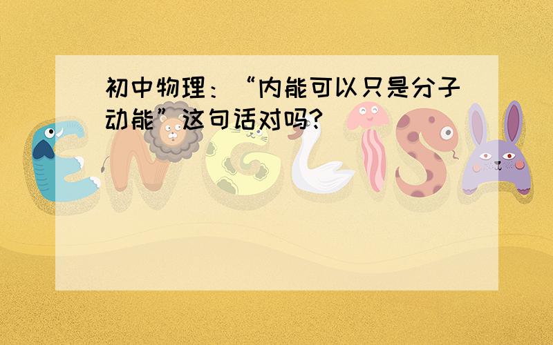 初中物理：“内能可以只是分子动能”这句话对吗?