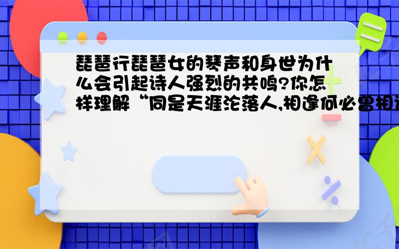 琵琶行琵琶女的琴声和身世为什么会引起诗人强烈的共鸣?你怎样理解“同是天涯沦落人,相逢何必曾相识”两句诗的意蕴?是两问.