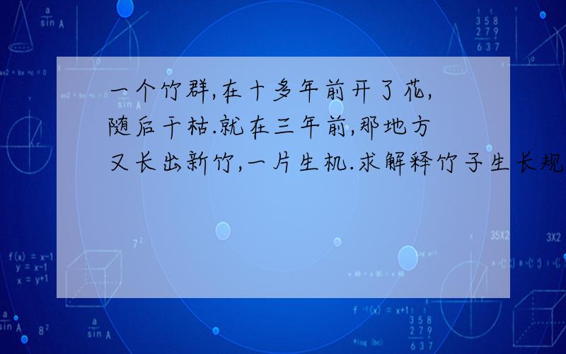 一个竹群,在十多年前开了花,随后干枯.就在三年前,那地方又长出新竹,一片生机.求解释竹子生长规律