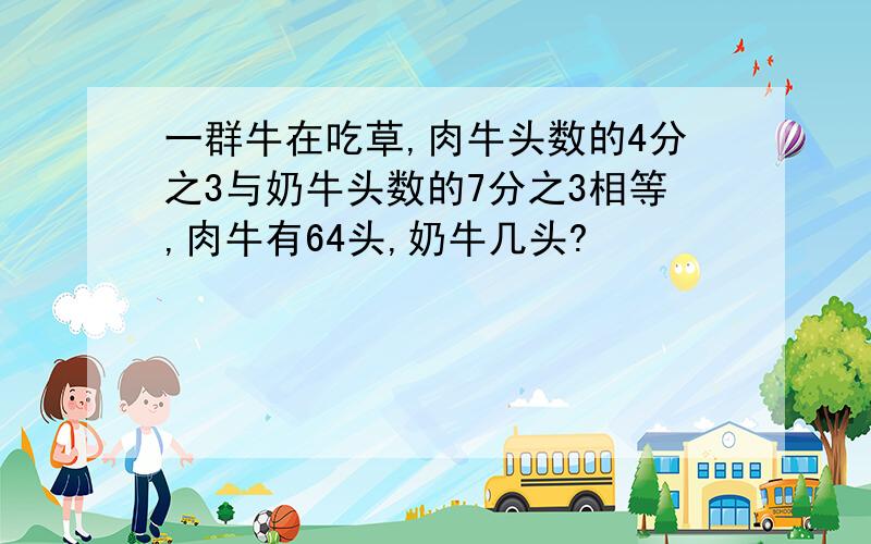 一群牛在吃草,肉牛头数的4分之3与奶牛头数的7分之3相等,肉牛有64头,奶牛几头?