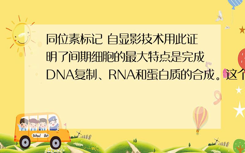 同位素标记 自显影技术用此证明了间期细胞的最大特点是完成DNA复制、RNA和蛋白质的合成。这个技术是什么样的？如何证明的？