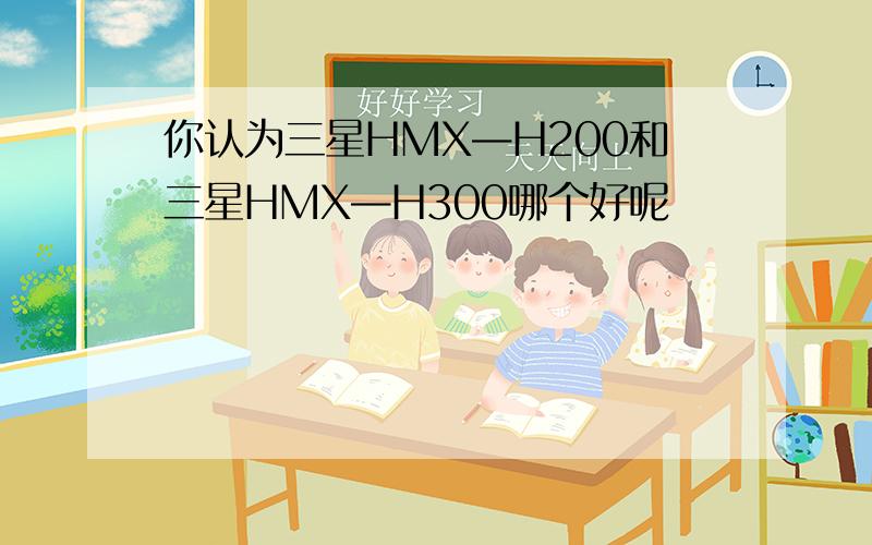 你认为三星HMX—H200和三星HMX—H300哪个好呢