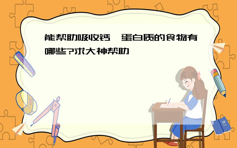 能帮助吸收钙、蛋白质的食物有哪些?求大神帮助