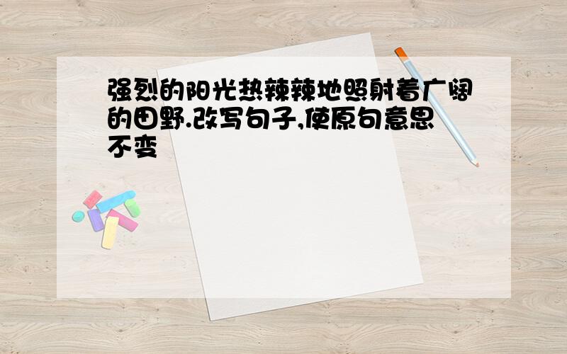 强烈的阳光热辣辣地照射着广阔的田野.改写句子,使原句意思不变