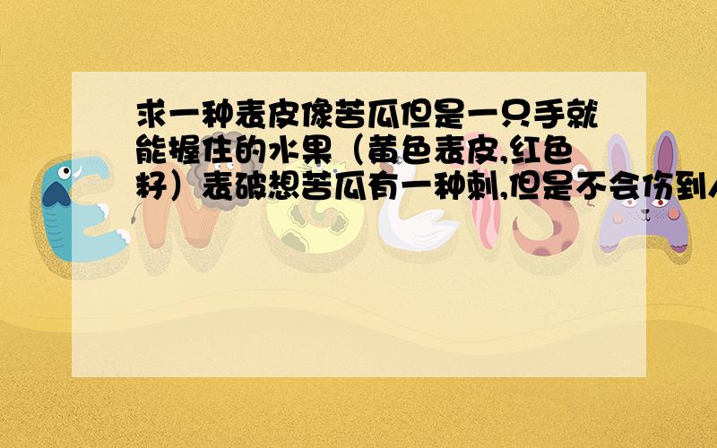 求一种表皮像苦瓜但是一只手就能握住的水果（黄色表皮,红色籽）表破想苦瓜有一种刺,但是不会伤到人,很小巧,一只手就能握住,表皮是黄色的,里面有很多红色的籽（这个才是能吃的）