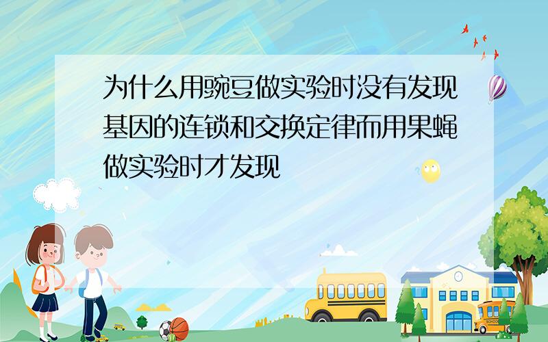 为什么用豌豆做实验时没有发现基因的连锁和交换定律而用果蝇做实验时才发现