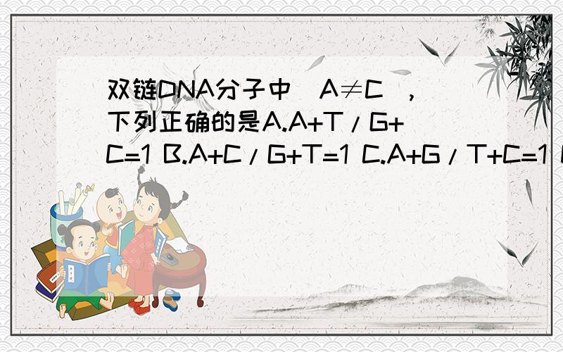 双链DNA分子中(A≠C),下列正确的是A.A+T/G+C=1 B.A+C/G+T=1 C.A+G/T+C=1 D.G+C/A+T=1