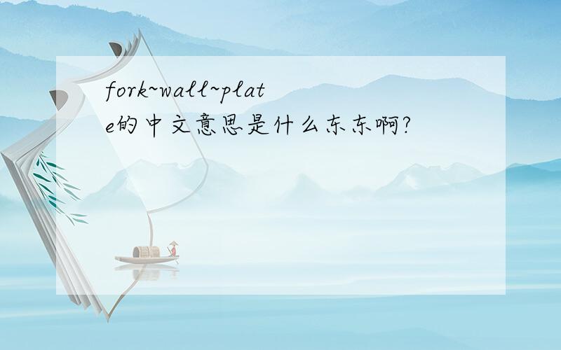 fork~wall~plate的中文意思是什么东东啊?