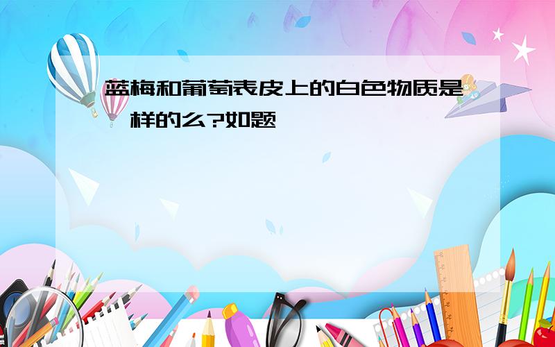 蓝梅和葡萄表皮上的白色物质是一样的么?如题