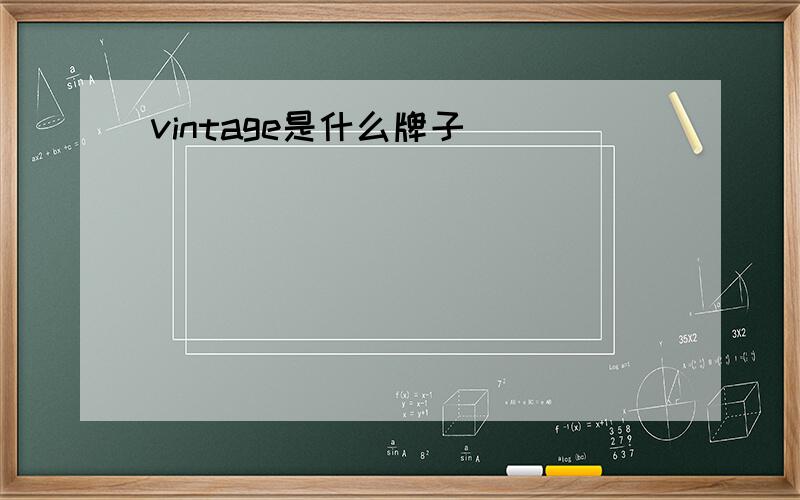 vintage是什么牌子