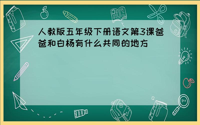 人教版五年级下册语文第3课爸爸和白杨有什么共同的地方