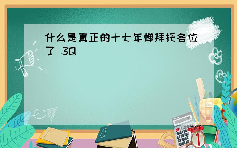 什么是真正的十七年蝉拜托各位了 3Q