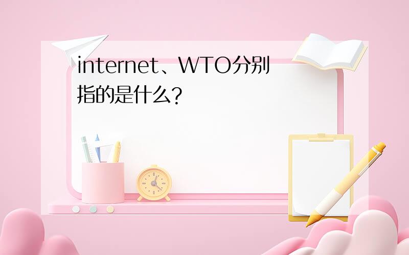 internet、WTO分别指的是什么?