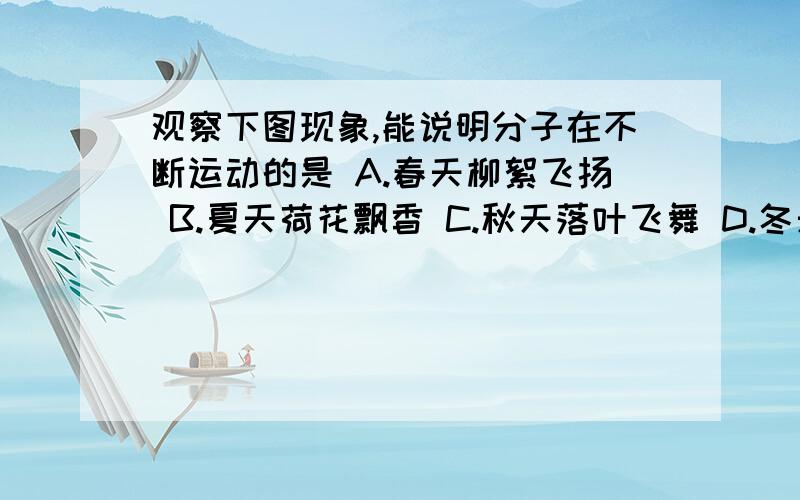 观察下图现象,能说明分子在不断运动的是 A.春天柳絮飞扬 B.夏天荷花飘香 C.秋天落叶飞舞 D.冬天雪花