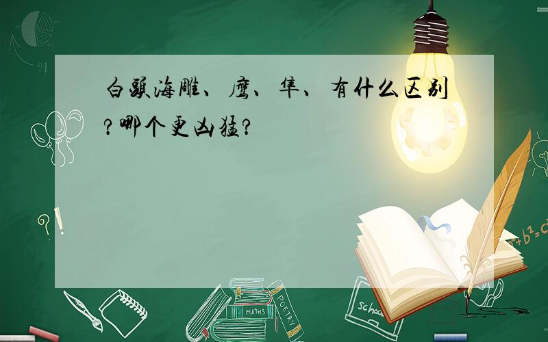 白头海雕、鹰、隼、有什么区别?哪个更凶猛?