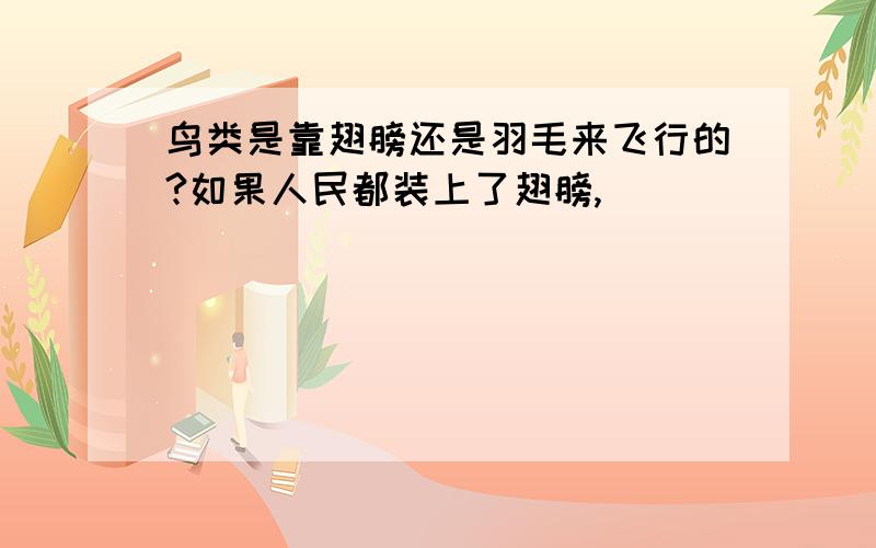 鸟类是靠翅膀还是羽毛来飞行的?如果人民都装上了翅膀,