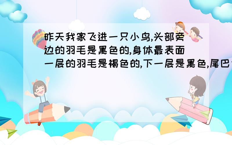 昨天我家飞进一只小鸟,头部旁边的羽毛是黑色的,身体最表面一层的羽毛是褐色的,下一层是黑色,尾巴也是黑色翅膀主要是黑色,中间有点白色,挺好看的,眼睛一圈是黄色的毛,是鹩哥?