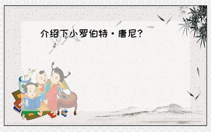 介绍下小罗伯特·唐尼?