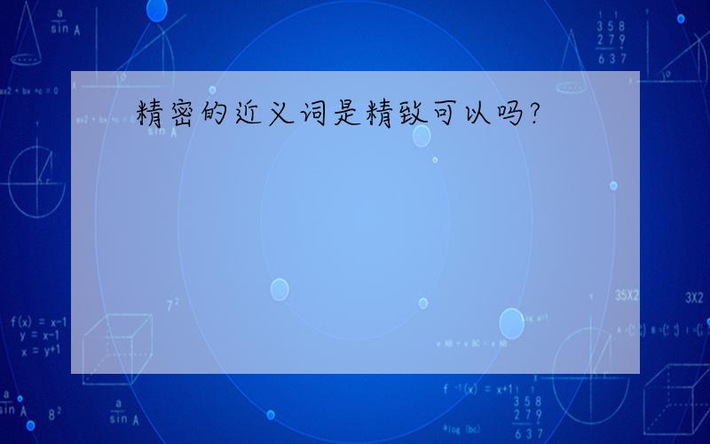 精密的近义词是精致可以吗?