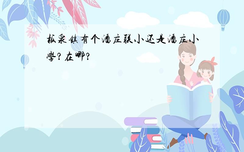 板泉镇有个潘庄联小还是潘庄小学?在哪?